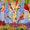 Spring Garden Birds Paint By Numbers