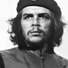 Monochrome Che Guevara paint by numbers