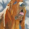 Bloodhound Dog Paint By Numbers
