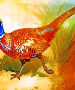 Cock Pheasant Paint By Numbers
