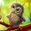 Baby Owl paint by numbers
