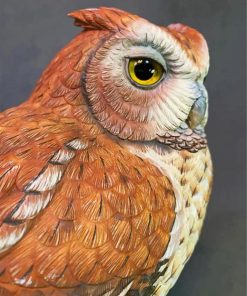 Eastern Screech Owl Paint By Numbers