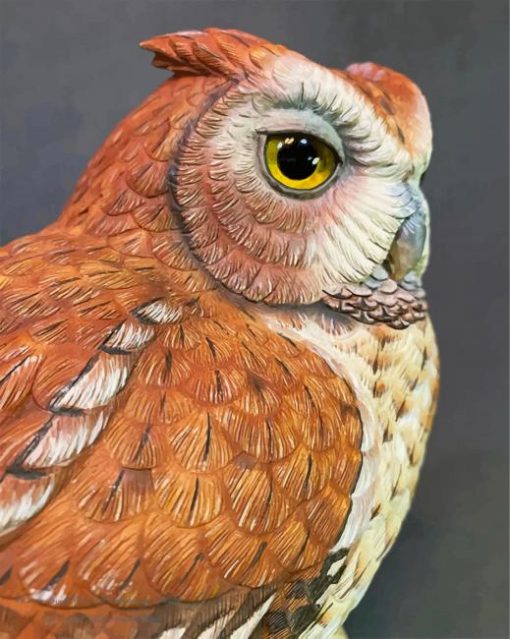 Eastern Screech Owl Paint By Numbers