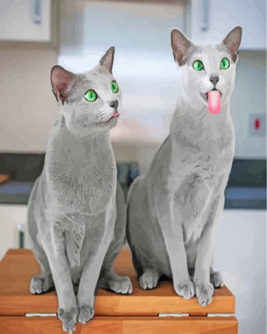 Funny Russian Blue Cats Paint By Numbers