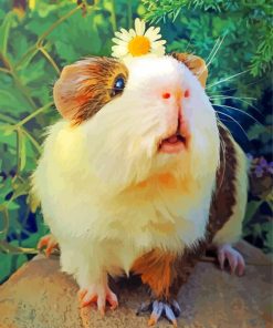 Guinea Pig And Flower Paint By Numbers