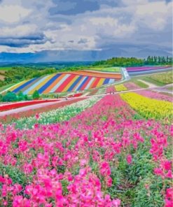 Hokkaido Japan paint by numbers