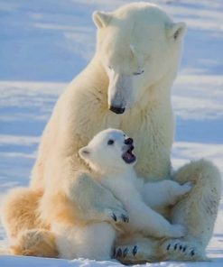 Mom And Baby Polar Bear Paint By Numbers