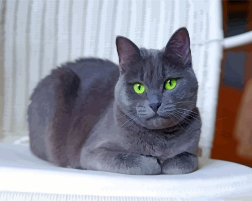 Russian Blue Cat Paint By Numbers
