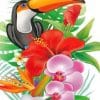 Toco Toucan And Flowers paint by numbers