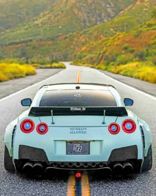White Nissan GTR paint by numbers