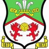 Wrexham AFC Paint By Numbers