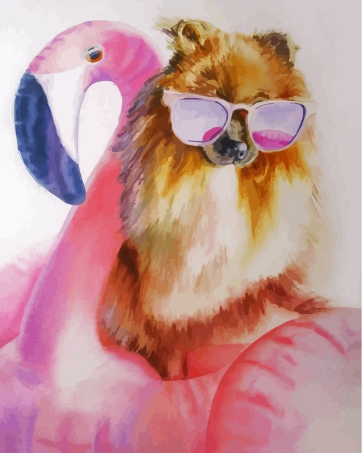 Aesthetic Pomeranian Paint By Numbers