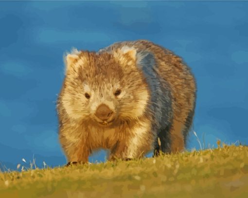 Australia Wombat Paint By Numbers