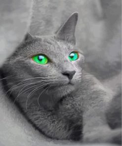 Russian Blue Cat paint by numbers