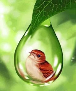 Bird In Water Bubble paint by numbers