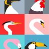 Illustration Birds paint by numbers