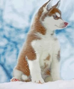 Brown Husky Paint By Numbers