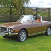 Brown Triumph Stag Paint by numbers