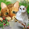 Cat And Snowy Owl Paint By Numbers