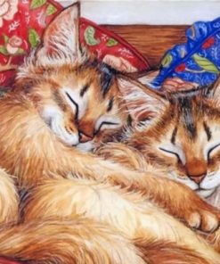 Cats Sleeping paint by numbers