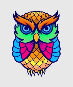 Colorful Owl Paint By Numbers