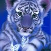 Cute Baby Tiger paint by numbers