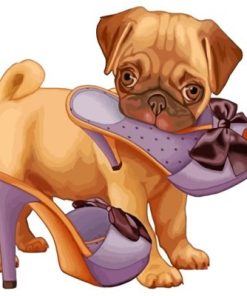 Cute Pug paint by numbers