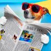 Dog Reading Newspaper Paint By Numbers