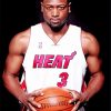 Dwyane Wade Paint By Numbers