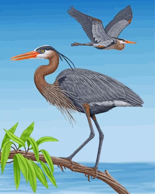 Great Blue Heron Birds Paint By Numbers
