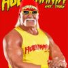 Hulk Hogan Paint By Numbers