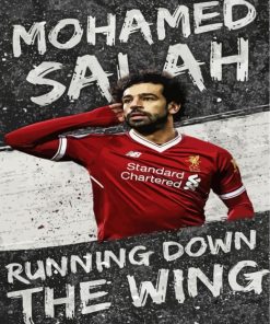 Legend Mo Salah Paint By Numbers