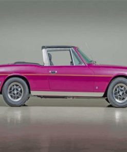 Purple Triumph Stag paint by numbers