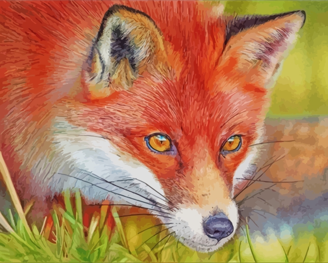 Red Fox Paint By Numbers