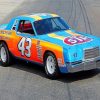 Richard Petty Race Car paint by numbers