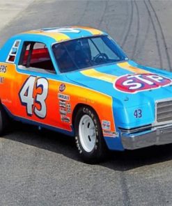 Richard Petty Race Car paint by numbers