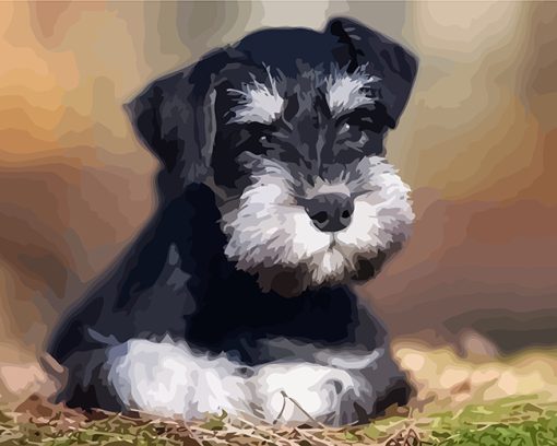 Schnauzer Pet Paint By Numbers