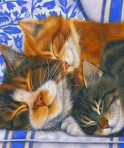 Sleepy Cats paint by numbers