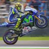 Valentino Rossi Paint By Numbers