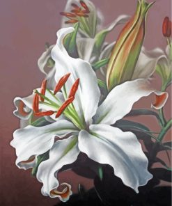 White Magnolia Paint by numbers