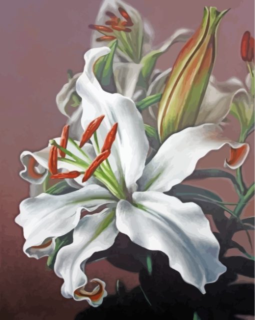 White Magnolia Paint by numbers