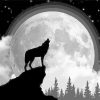 Wolf Silhouette Paint By Numbers