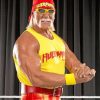 Wrestler Hulk Hogan Paint By Numbers