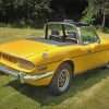 Yellow Triumph Stag paint by numbers