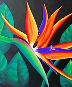 Bird Of paradise Plant Paint By Numbers