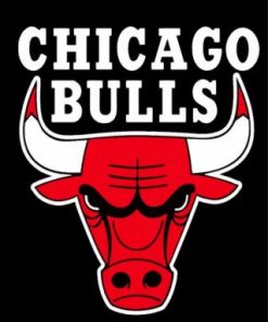 Chicago Bulls Logo paint By Numbers