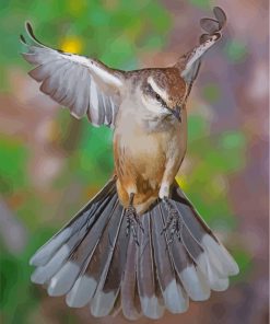 Northern Mockingbird Paint By Numbers