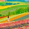 Hokkaido Japan Paint By Numbers