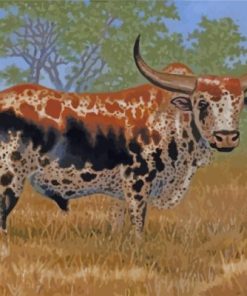 Nguni Cattle Paint By Numbers
