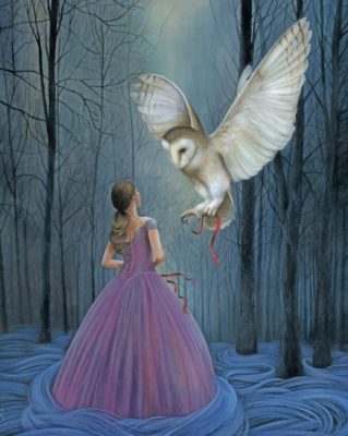 Princess With Owl Paint By Numbers